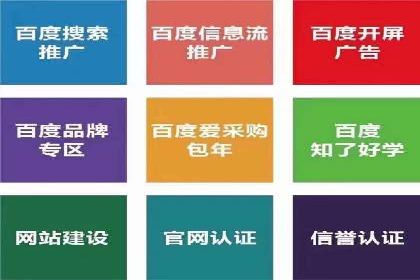 如何做SEM：从案例看策略制定与实施